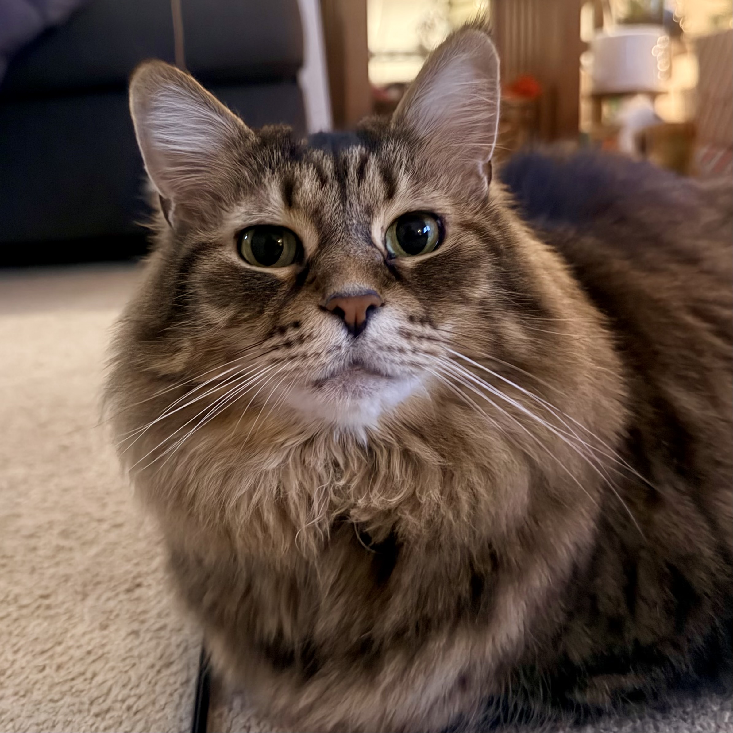 Photo of Fiona
