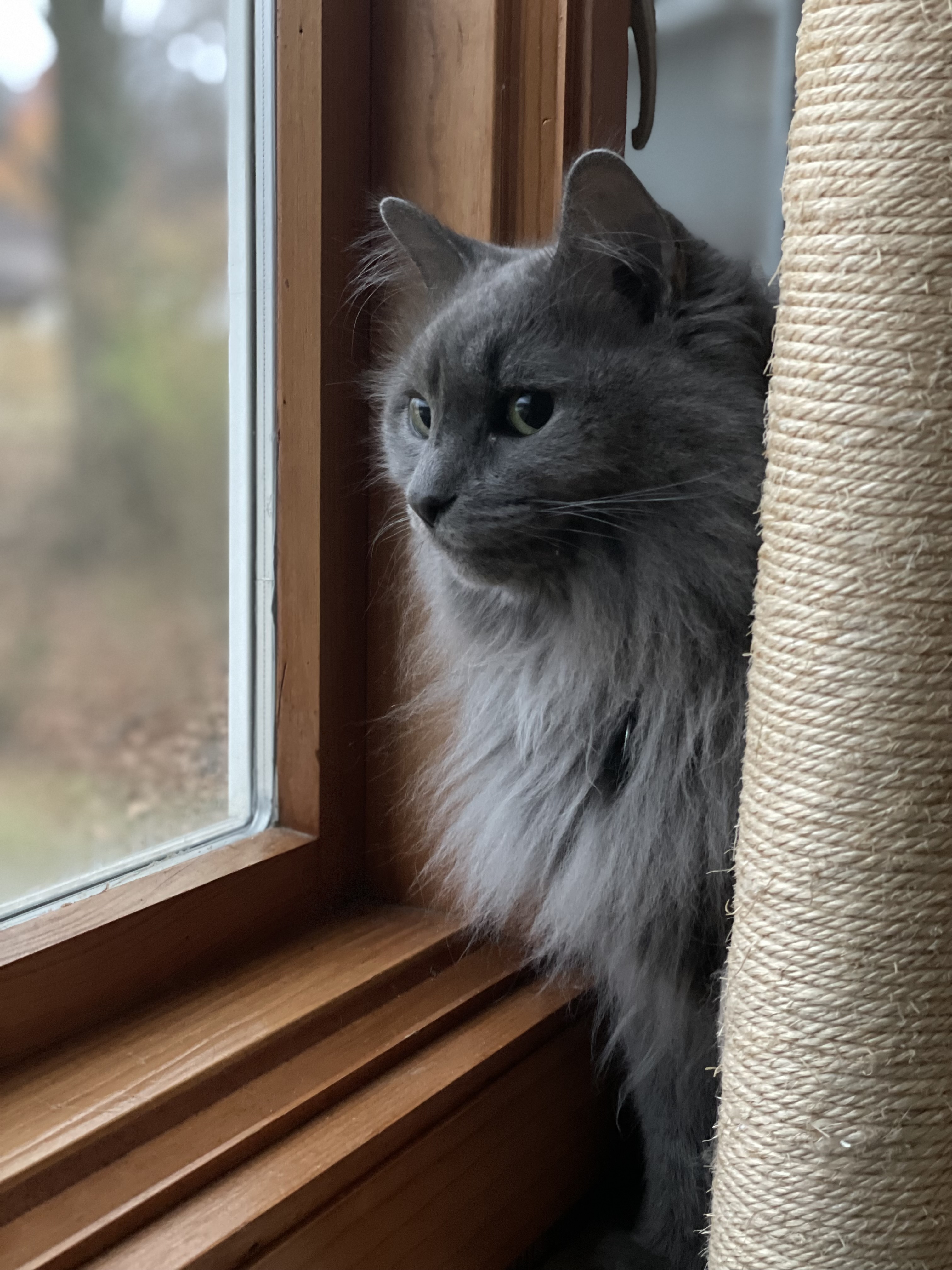 Photo of Gia