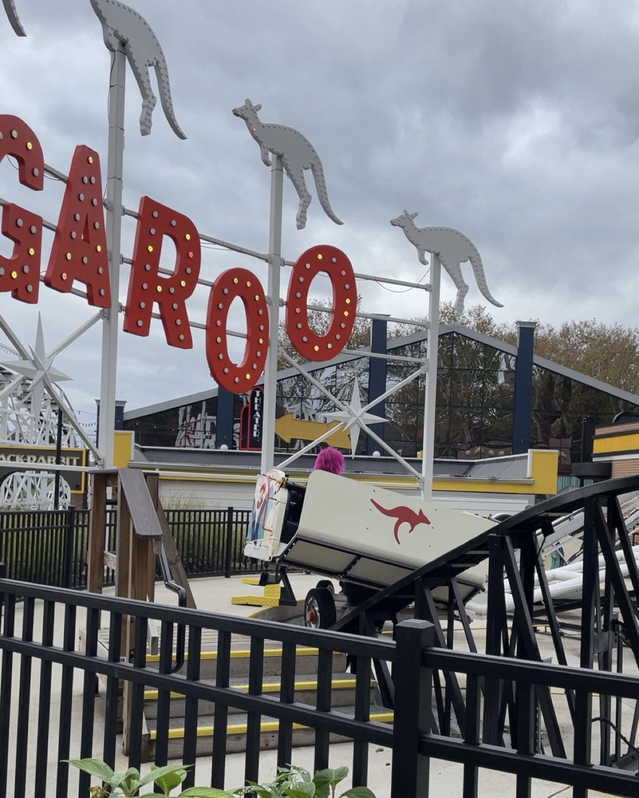 Kangaroo!
