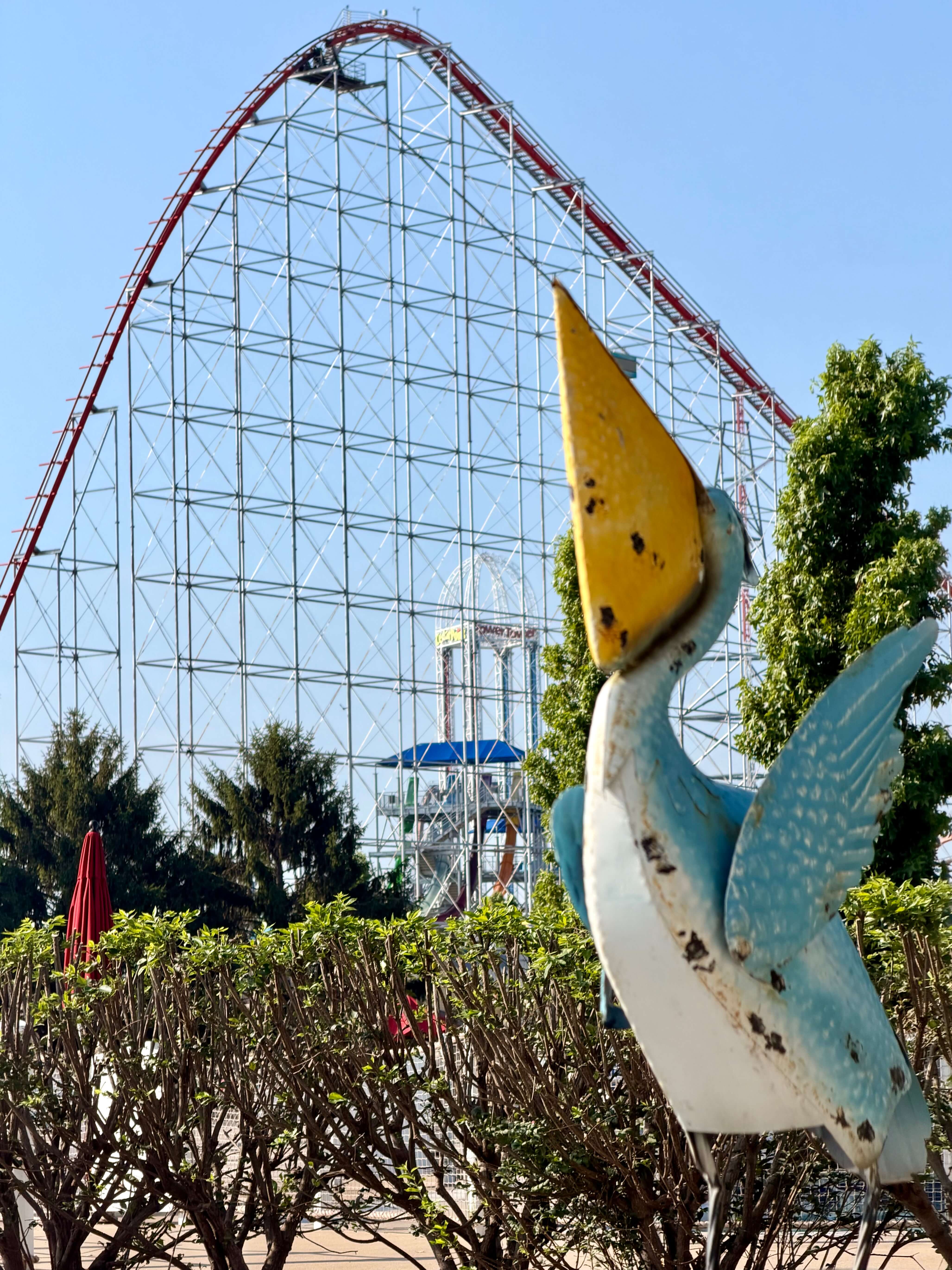 Pelican and Magnum