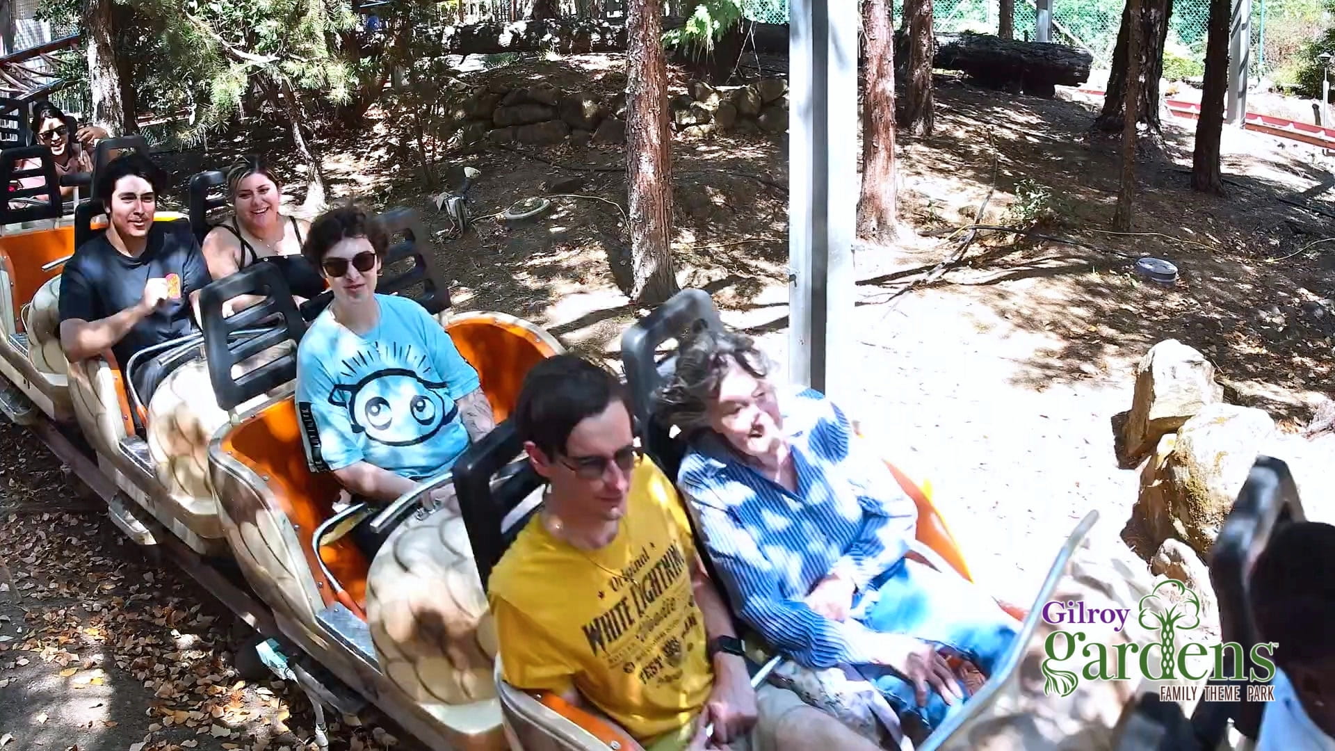 Timber Twister pic