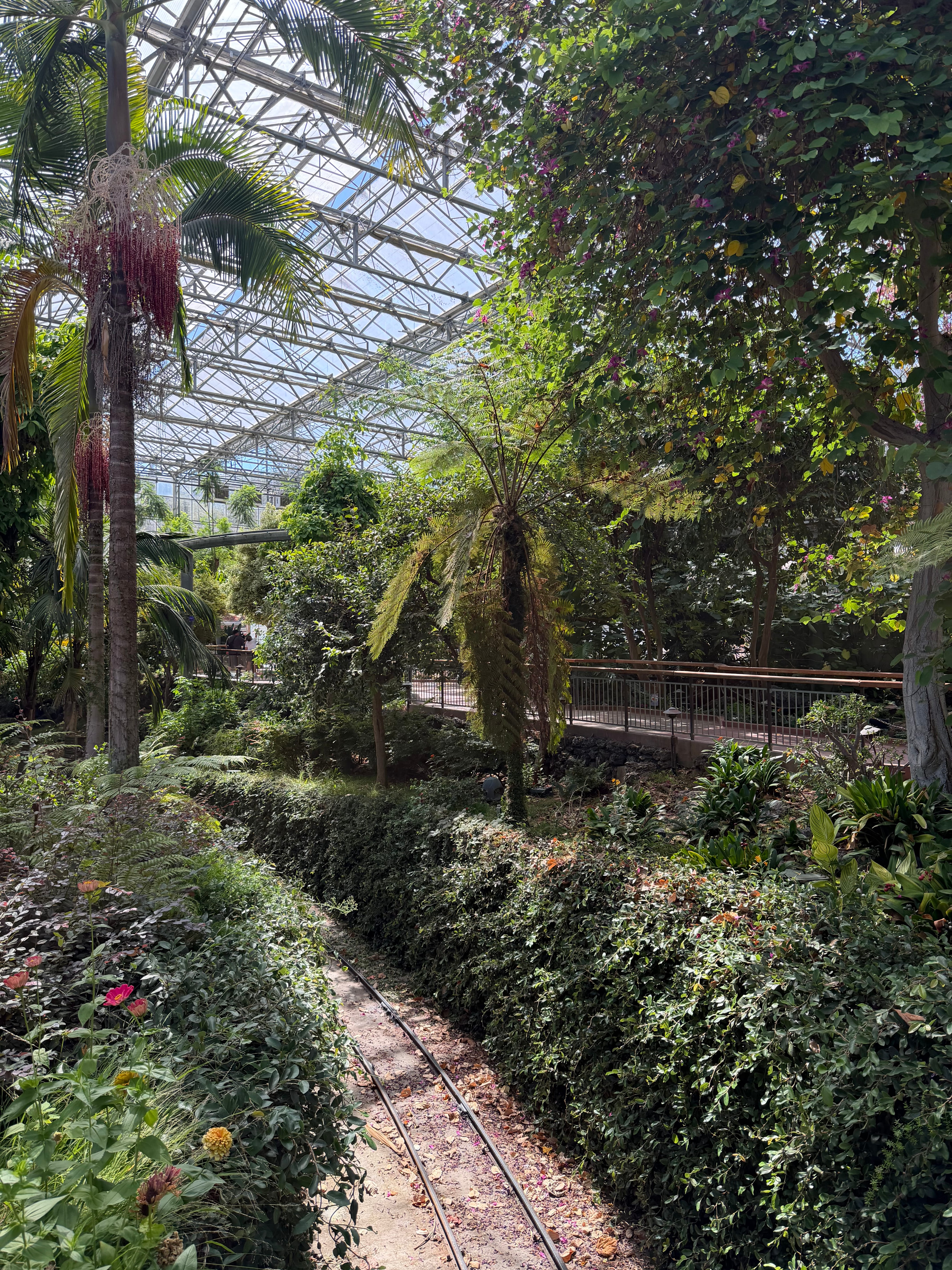 Butterfly Garden