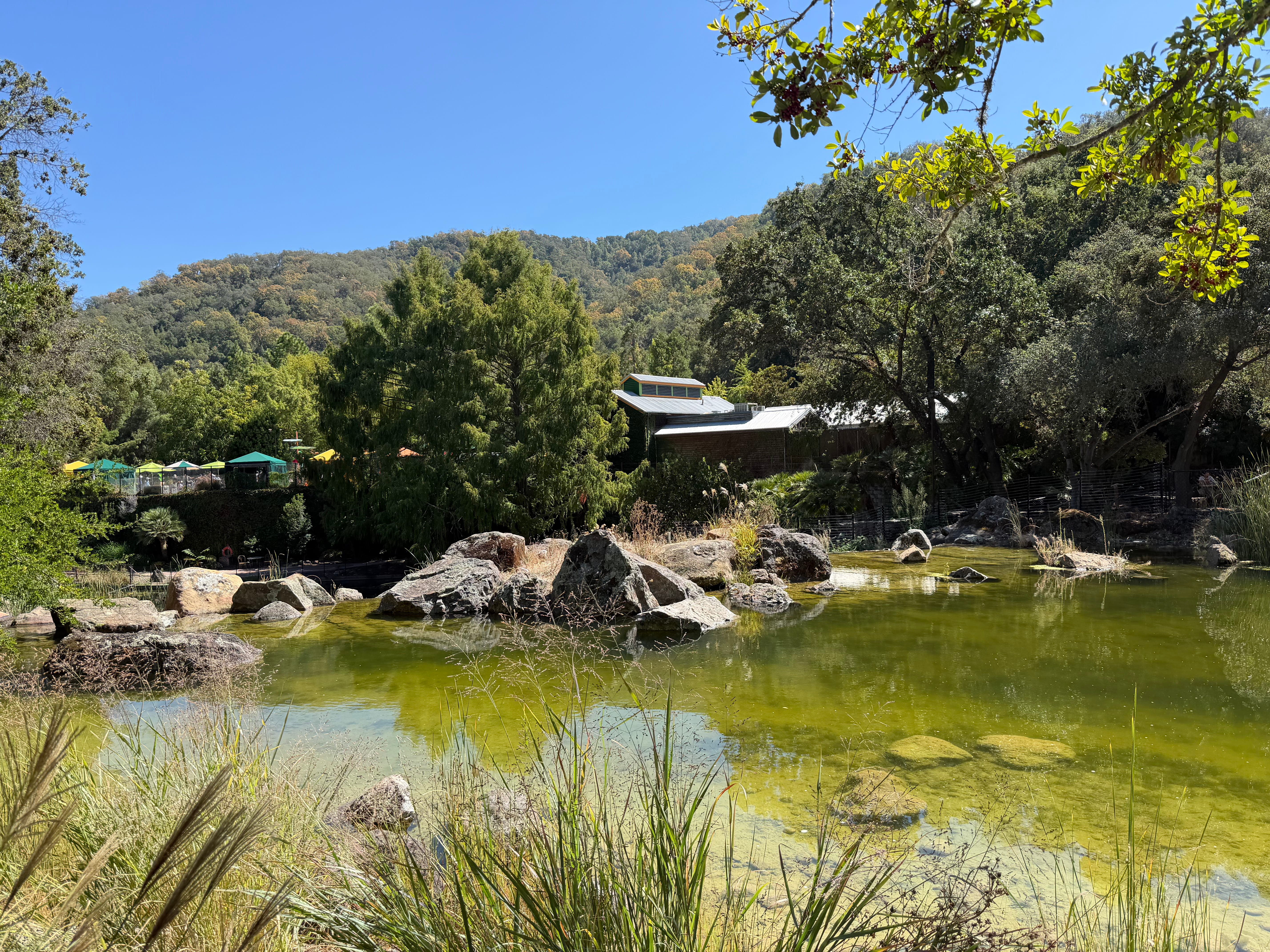 Picture of the lake
