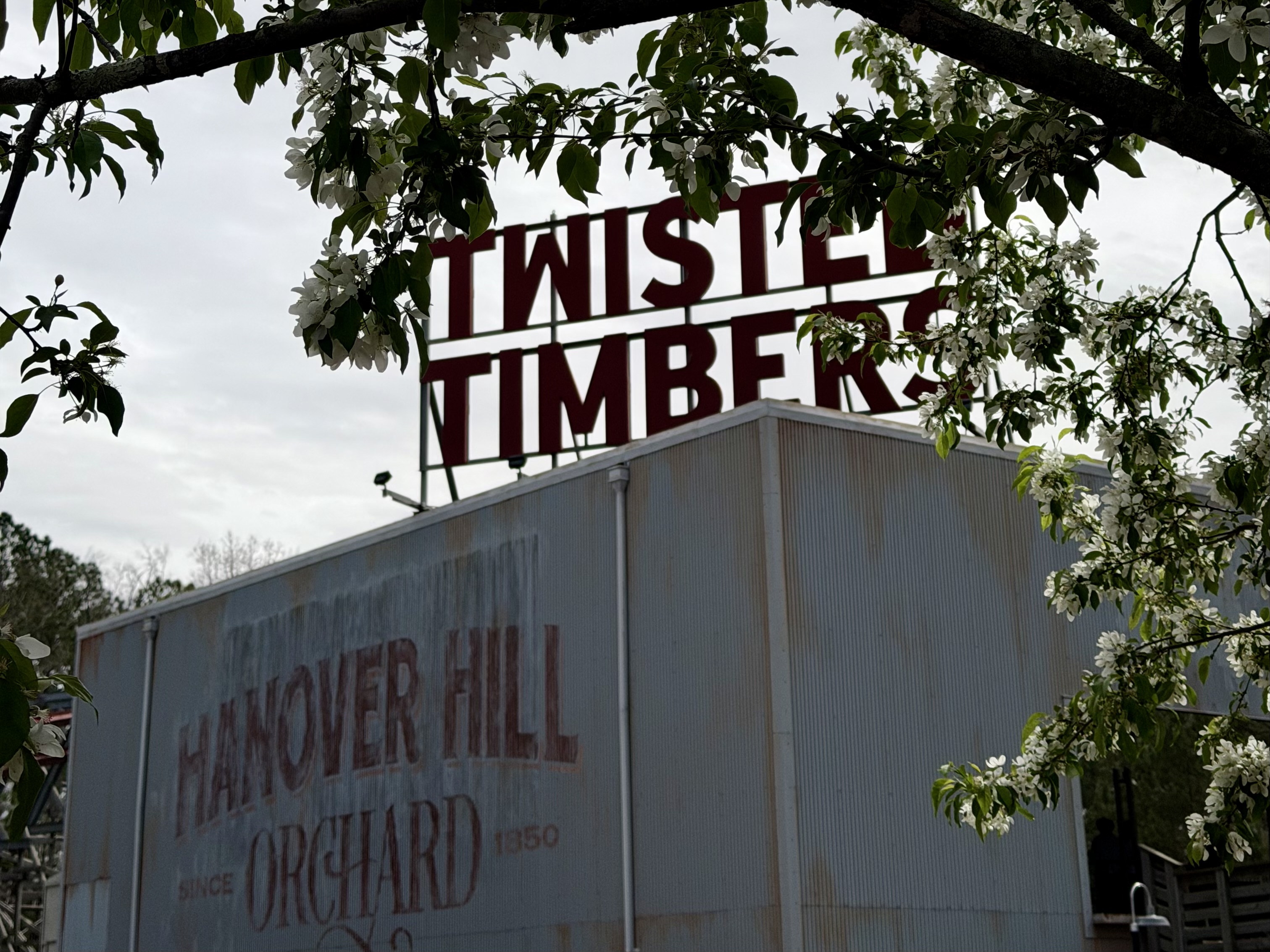 Twisted Timbers